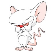 coast31g2005