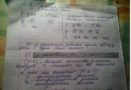 Дайте оценку приведённым словам. Почему Нечаеву и ему подобным было «некогда»? Куда они так спешили?