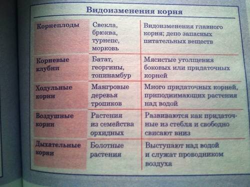 Заполните таблицу видоизменение корней видоизменение корня : выполняемая функция: название растения: