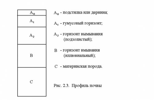 Что открыл землепроходец Семён Дежнёв?