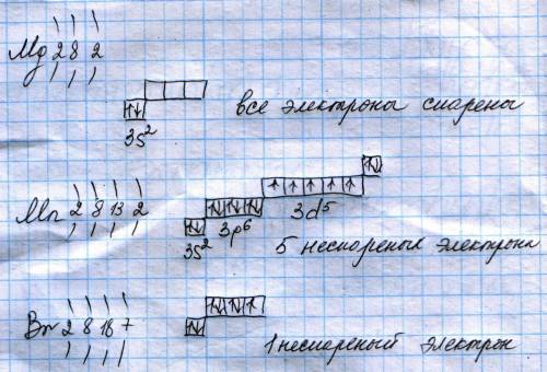 Определите число неспаренных электронов в атомах следующих элементов: а) магния б)марганца в) брома 