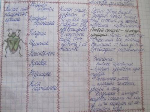 Характеристика отрядов насекомых. заполните таблицу. представители тип развития кол-во крыльев тип п