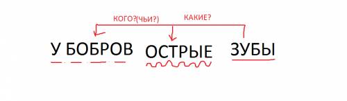 Графическая схема предложения. у бобров острые зубы.
