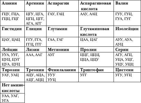 Определите белок, синтезируемый на участке молекулы днк…-…?