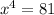 x^{4}=81

