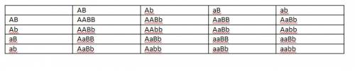 Решите по генетике. p: aabb *aabb найдите f1