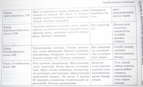 Класс птиц название отрядов особенности отрядов представители место обитание