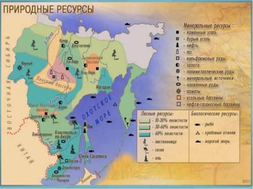 Назовите полезные ископаемые дальнего востока