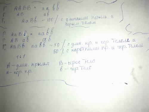 Какое расщепление по фенотипу для дигибридного анализирующего скрещивания при полном сцеплении генов