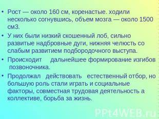 Как люди представляли землю в древности