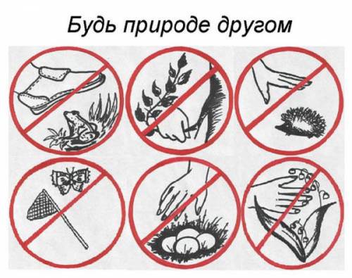 Как нарисовать плакат защити природу