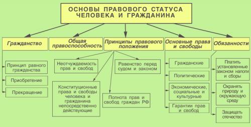 Чем определяется правовой статус человека и кратко