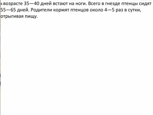 Доклад о чёрном аисте по окружающему миру