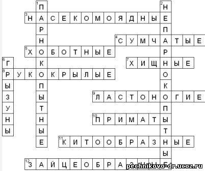 Мне нужен кроссворд по теме ластоногие и китообразные, 15 слов минимум !