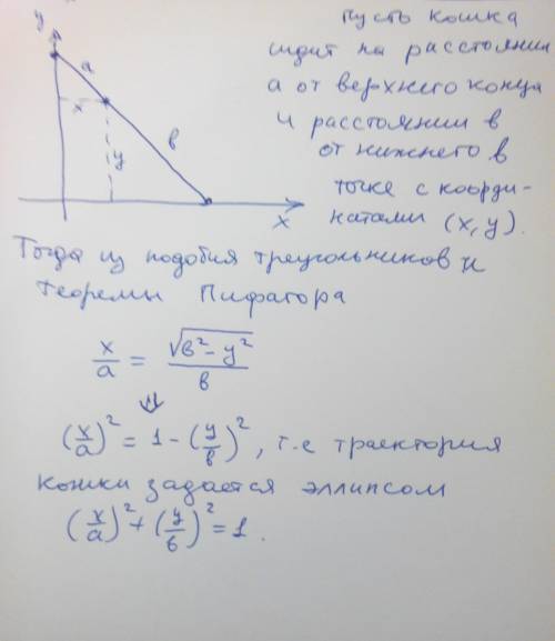 Кошка сидит на лестницы, преслоненой к стене. концы лестницы начинают скользить по стене и полу.како