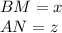 BM=x\\
 AN=z