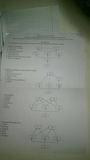 Составьте пищевые цепи и пищевые сети для различных сообществ