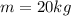 m=20kg
