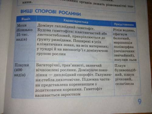 Чем отличаются по внешнему строению папороротники, хвощи, плауны?