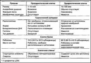 Чем отличается клетка животных и человека от клетки гриба : ?