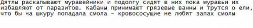 Как защищают себя от паразитов дикие животные?