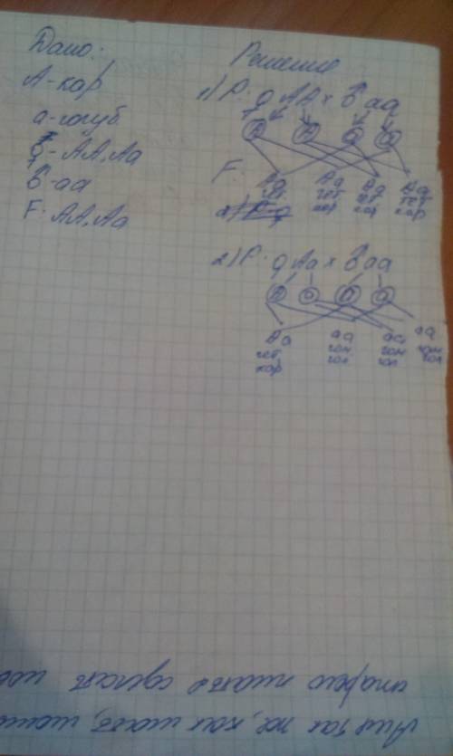 Укареглазой матери и голубоглазого отца родилась кареглазая дочь. какими могут быть генотипы родител