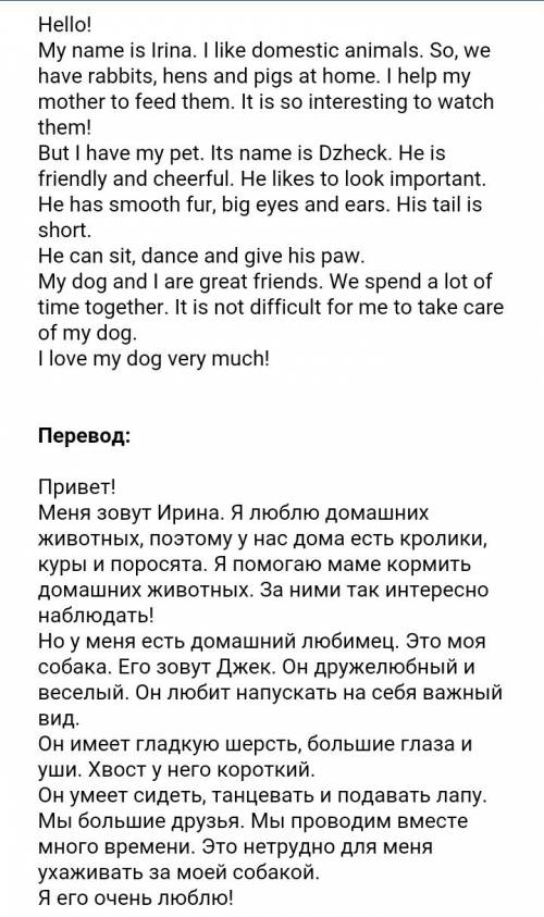 Напишите небольшое сочинение на тему my pet friends