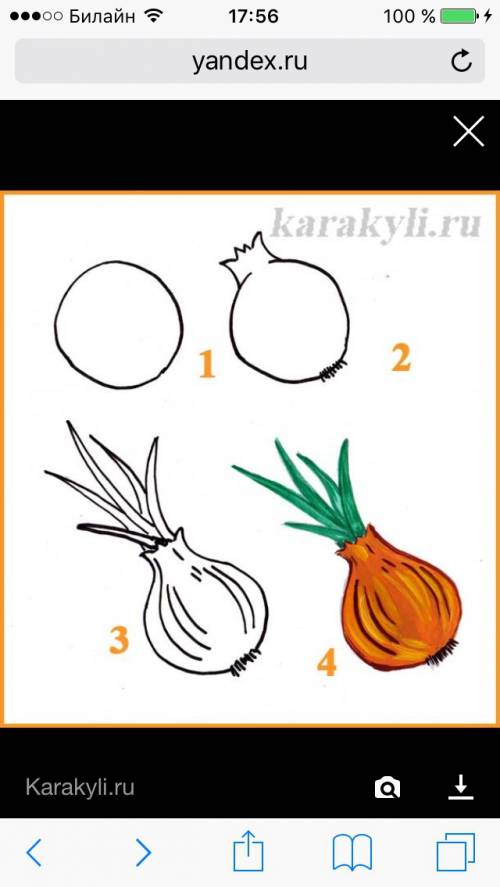 Как правильно нарисоват лук на а 4 фото