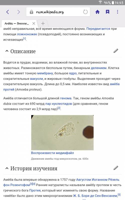 Мне нужно узнать что такое амёба и есть ли у неё дыхательная система?