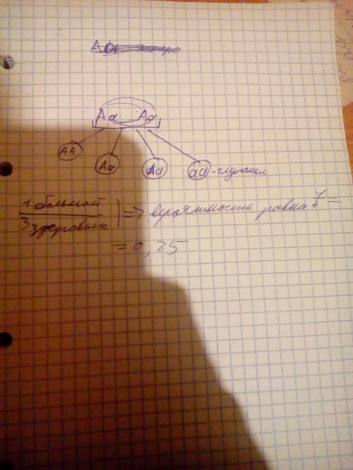 Учеловека ген, который обуславливает наследственную глухонемоту, рецессивен по отношению к гену норм