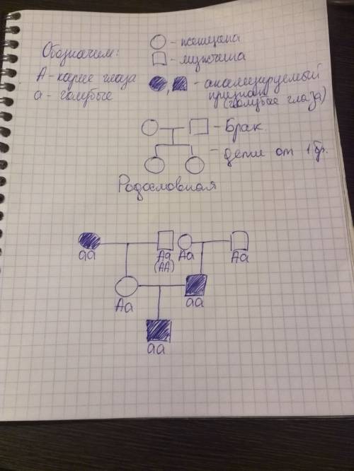 1. гомозиготное по обоим признакам гладкосеменное (а) растение гороха с усиками (с) скрестили с раст