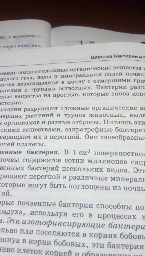 Боктерии великие могильщики природы кратко быстрее