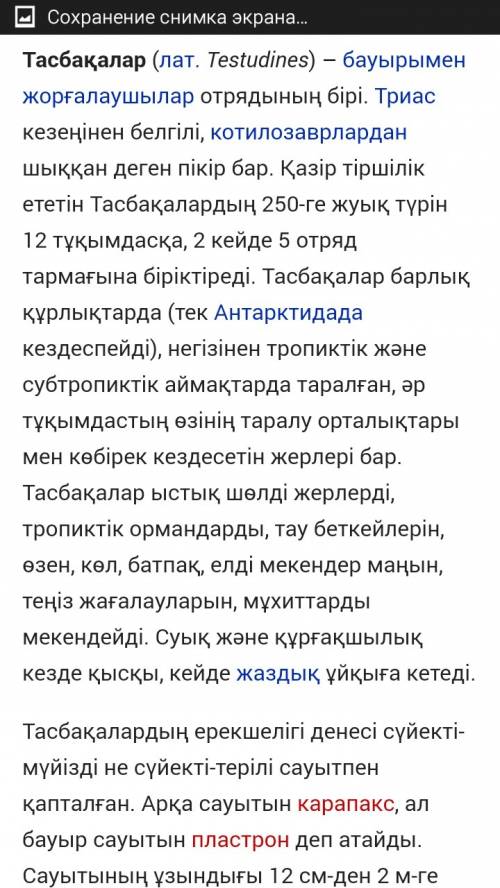 Написать текст про черепаху на казахском