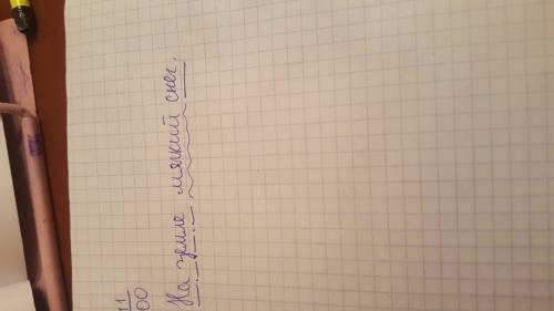 Синтетичский разбор , на земле мягкий снег4