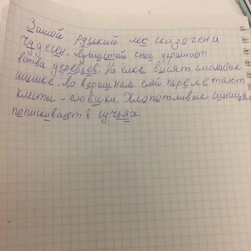 Подчеркните орфограммы в этом тексте зимой лес и чудесен.пушистый снег украшает ветви деревьев.на ел