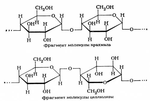 1.строение крахмала. 2. строение целлюлозы. 3.качественная реакция целлюлозы.