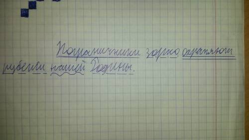 Разберите предложение синтактический разбор пограничники зорко охраняют рубежи нашей родины