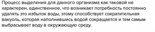 Что такое процесс выделения у амебы