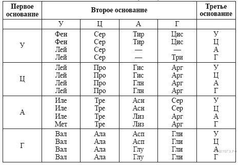 Участок гена имел следующий состав нуклеотидов: тгг тцг цаг гаг . определить, как изменится состав к