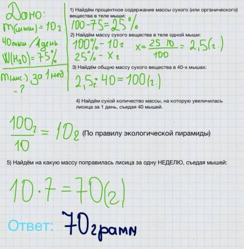 Лисица питается мышами за сутки съедает в среднем 40 грызунов масса одной мыши составляет приблизите