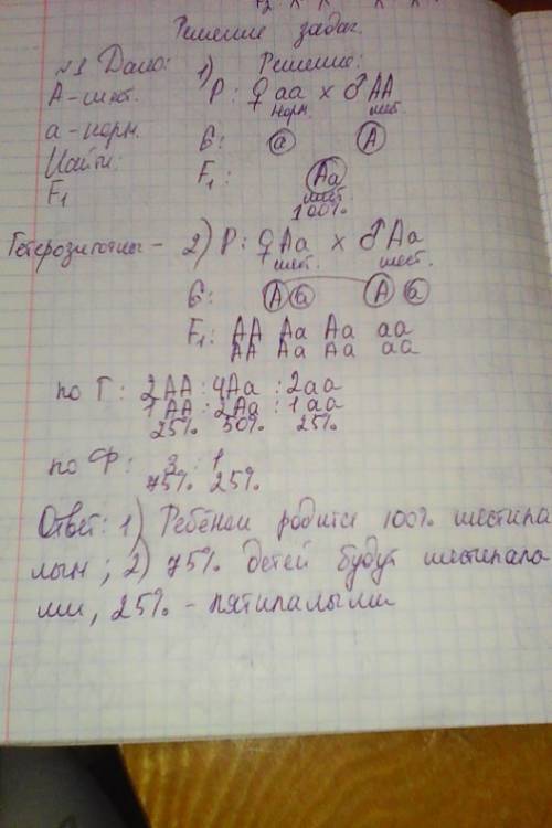 Учеловека ген шестипалости доминирует над геном нормального строения кисти. 1. гомозиготный шестипал