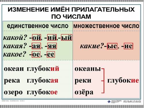 Составить таблицу < > м.р.,ж.р,с.р,множ.ч.,ед.