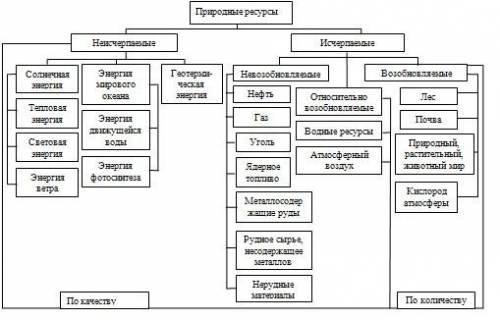 Составьте схему, иллюстрирующую причинно-следственные связи, которые обусловили разнообразие полезны