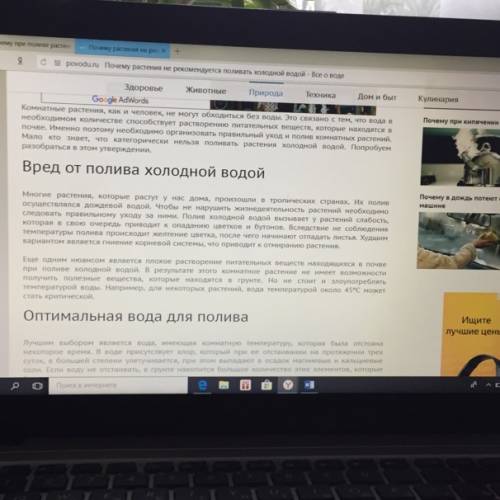 Почему при поливе растения холодной водой жидкость не будет подниматься по стеблю