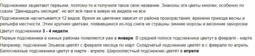 ﻿﻿ написать рассказ о расцветающих весенних растений