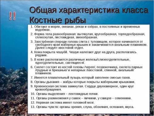 Характеристика кольчатых червей и костных рыб таблица