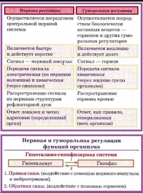 Коротко 1-2 предложения. зачем человеку две системы регуляции?