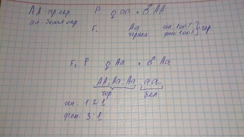 Скрешиволи белый кролик (аа) с чёрным кроликом (аа) доминирует чёрная окраска над белый определите г