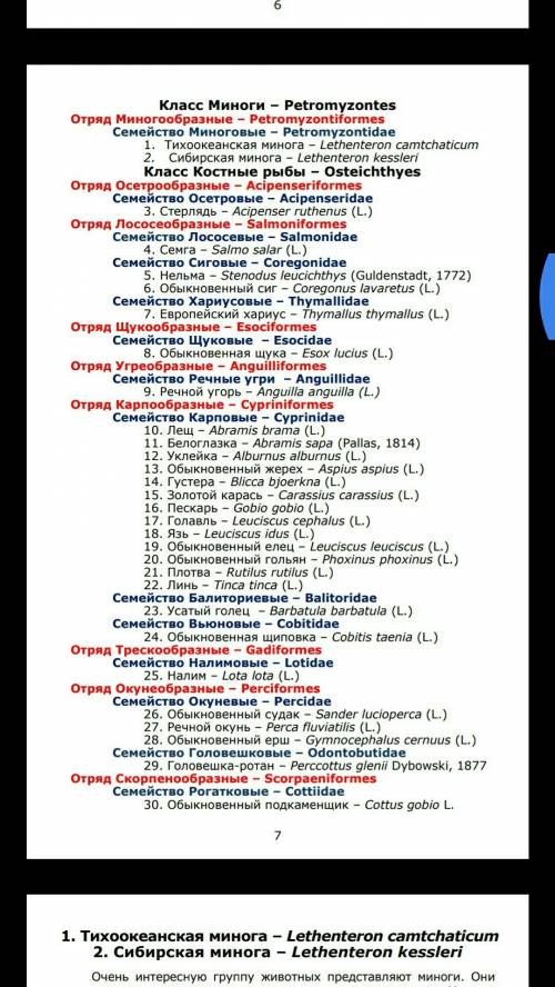 Притоки реки сухона и рыбы, растения реки