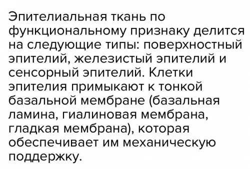 Клетки нервной ткани отличаются от клеток эпителиальной ткани наличием